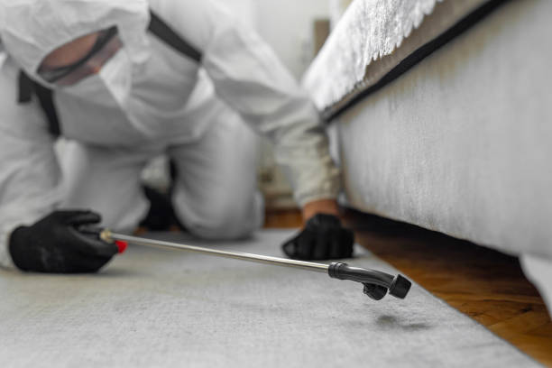 Professional Pest Control technician working in Wharton, NJ