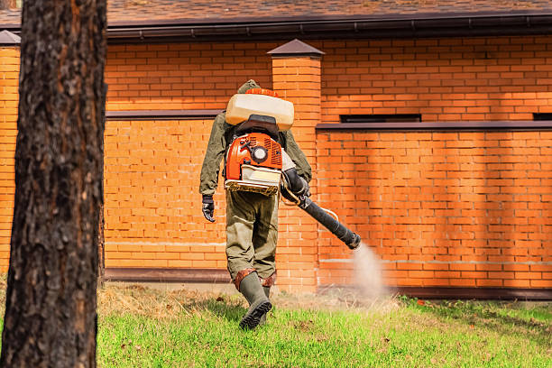 Trusted Termite Control service in Wharton, NJ - Nex Pest Control